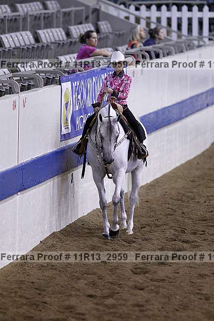 Proof 11r13_2959