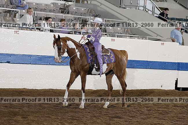 Proof 11r13_2960