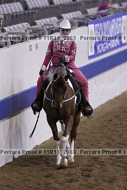 Proof 11r13_2963