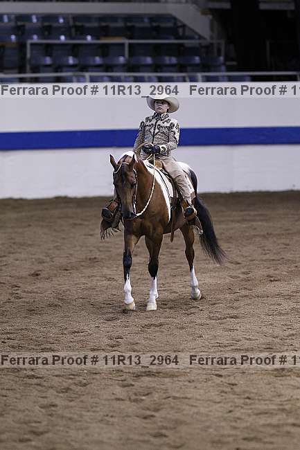 Proof 11r13_2964