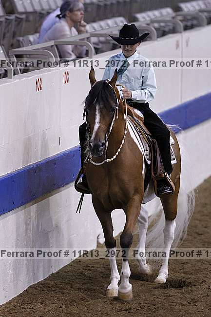 Proof 11r13_2972