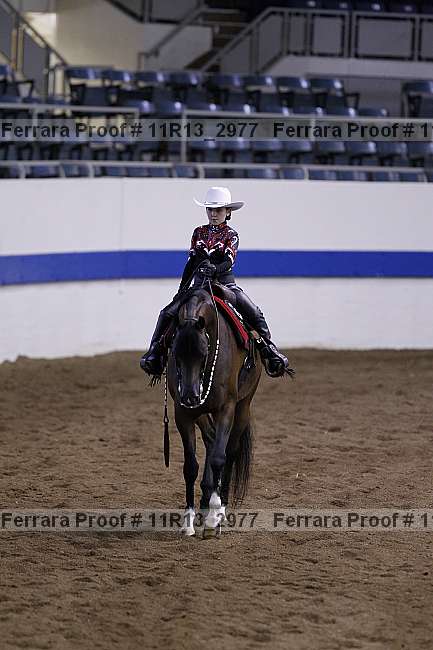 Proof 11r13_2977