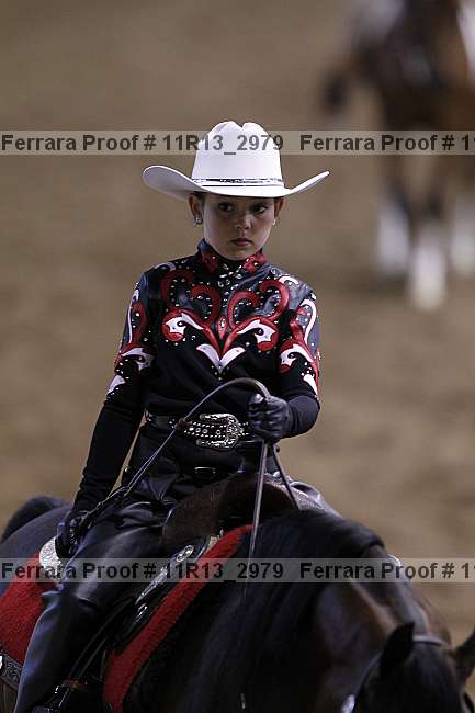 Proof 11r13_2979
