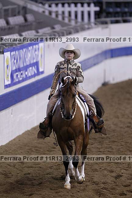 Proof 11r13_2993