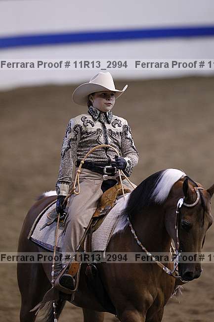 Proof 11r13_2994