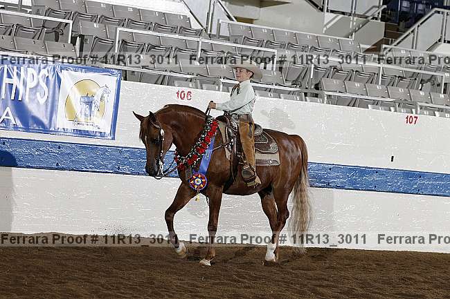 Proof 11r13_3011