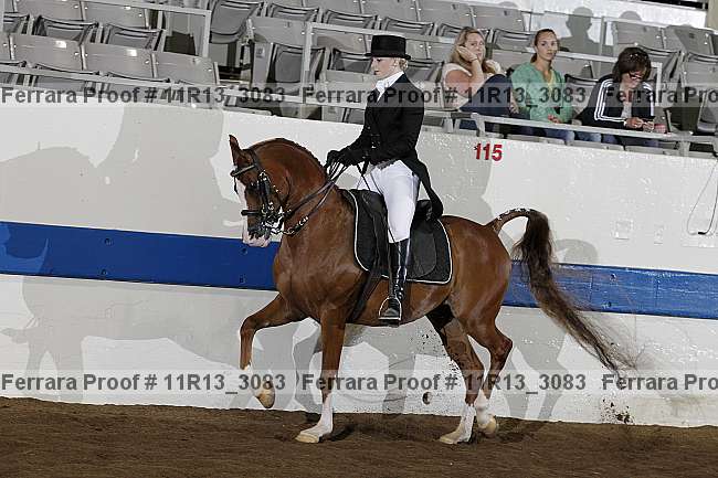 Proof 11r13_3083