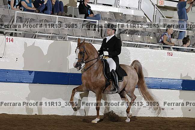 Proof 11r13_3085