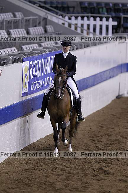 Proof 11r13_3087