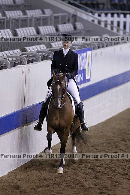 Proof 11r13_3088