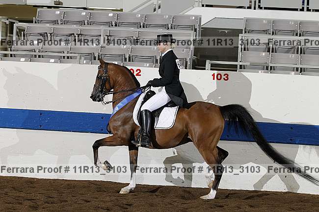 Proof 11r13_3103