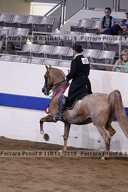 Proof 11r13_3119
