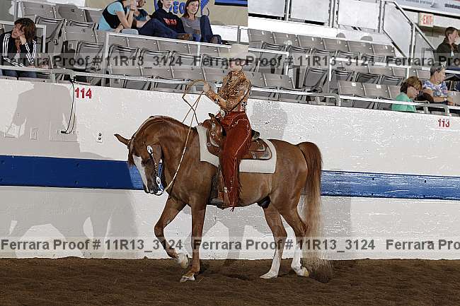 Proof 11r13_3124