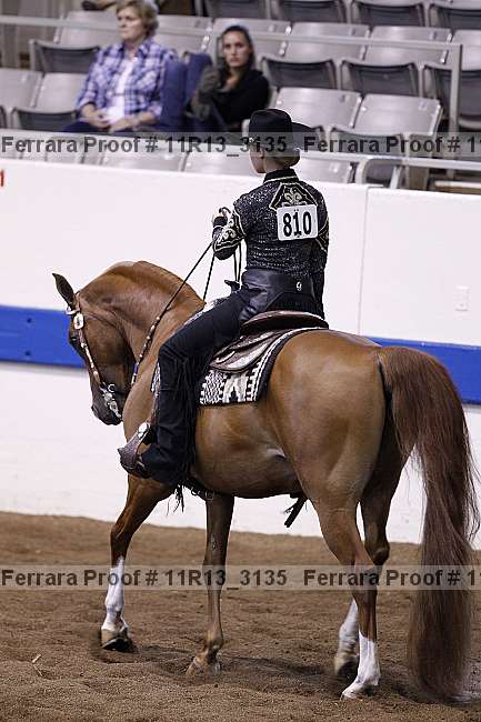 Proof 11r13_3135