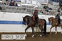 11r13_3137 proof