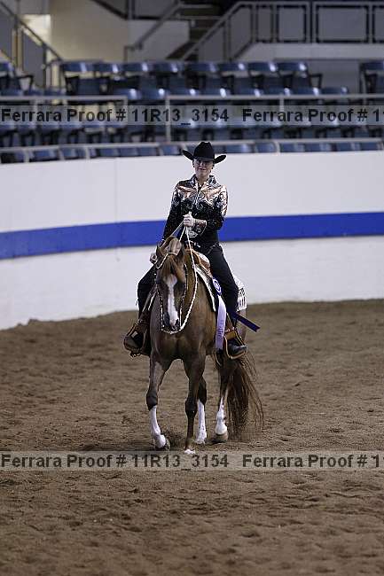 Proof 11r13_3154