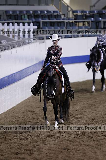 Proof 11r13_3161
