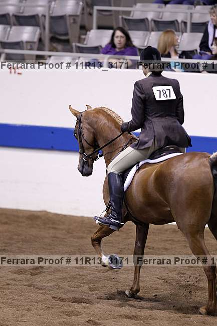Proof 11r13_3171