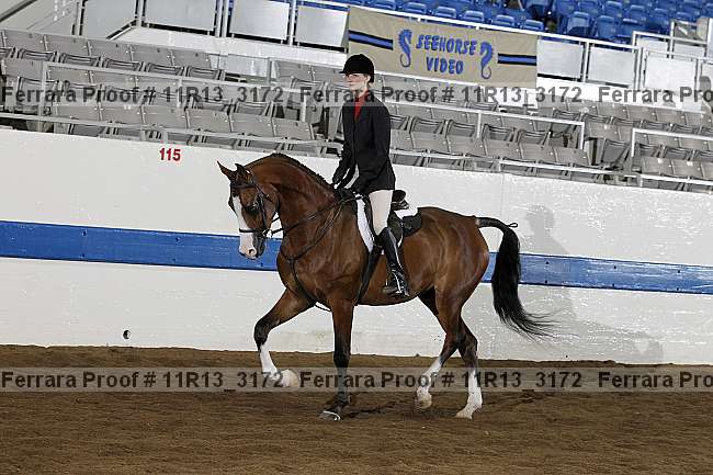 Proof 11r13_3172