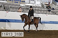 11r13_3188 proof