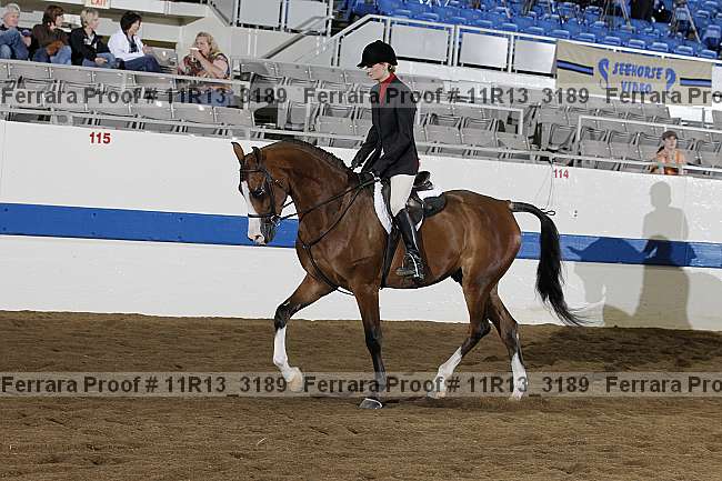 Proof 11r13_3189