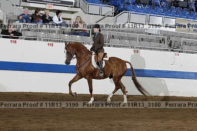 Proof 11r13_3190