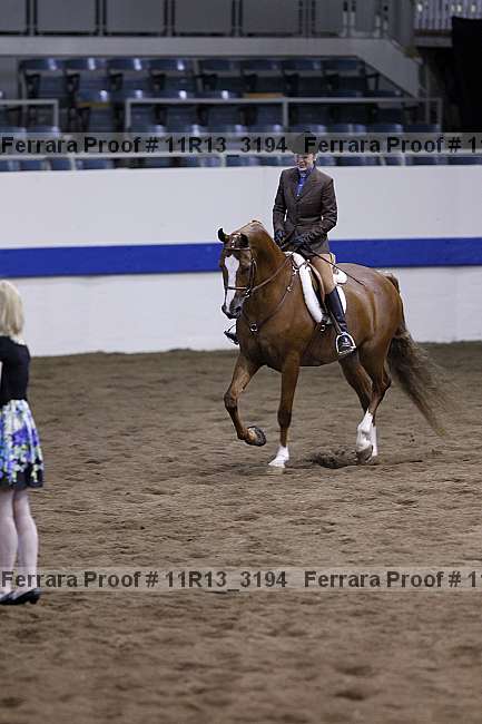 Proof 11r13_3194