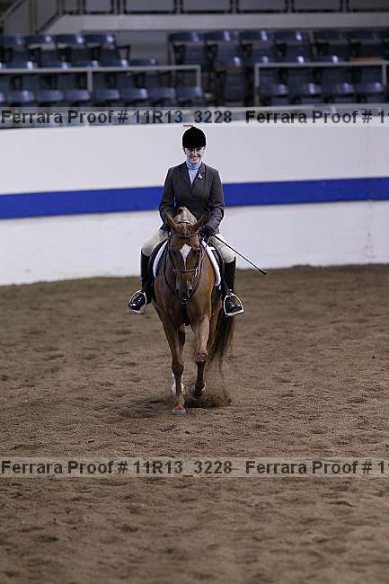 Proof 11r13_3228