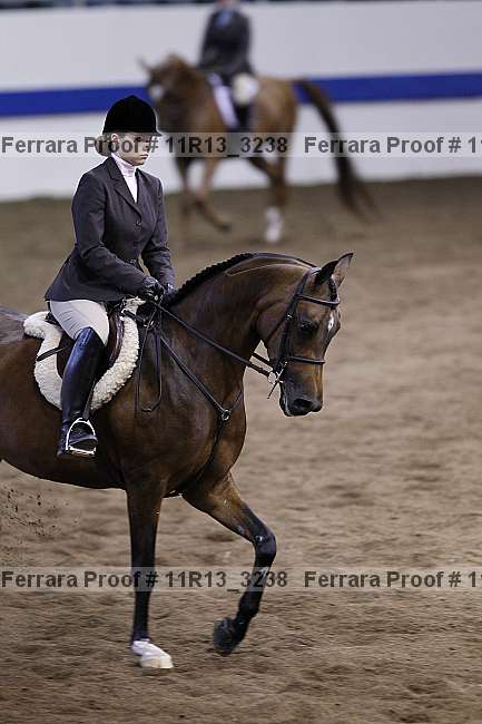 Proof 11r13_3238