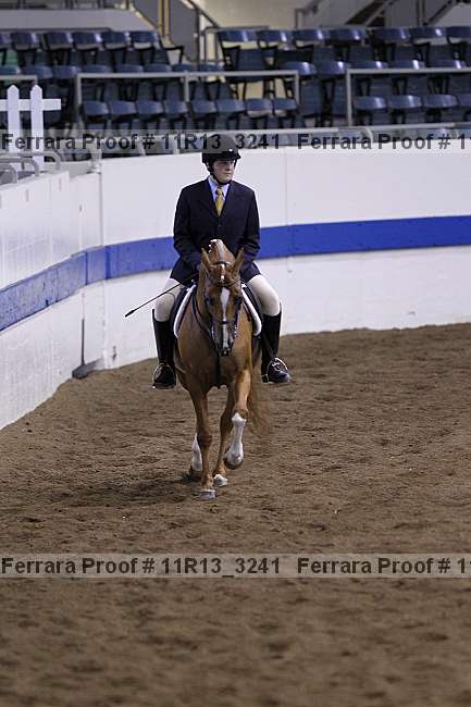 Proof 11r13_3241