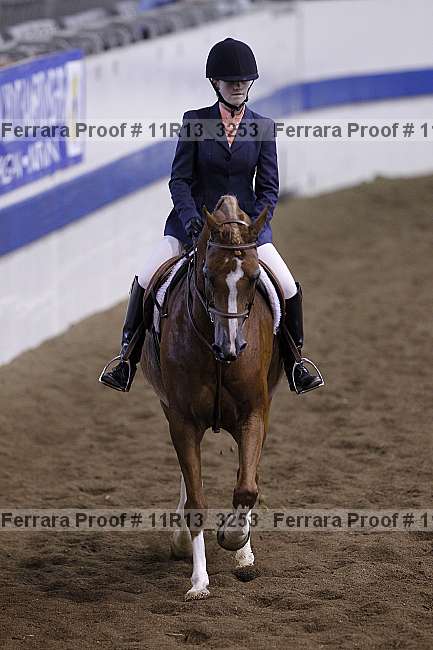 Proof 11r13_3253