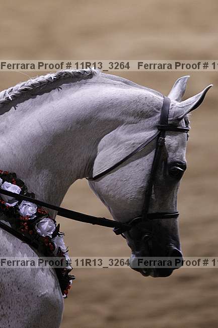 Proof 11r13_3264