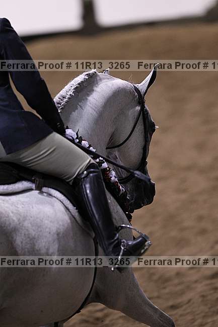 Proof 11r13_3265