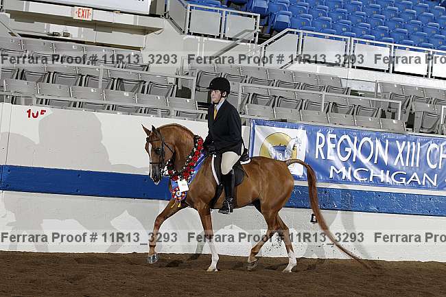 Proof 11r13_3293
