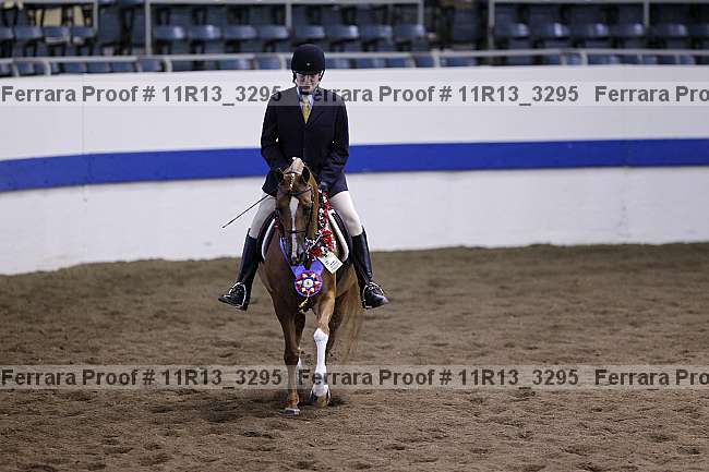 Proof 11r13_3295