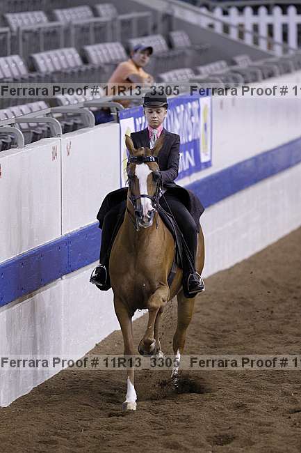 Proof 11r13_3305