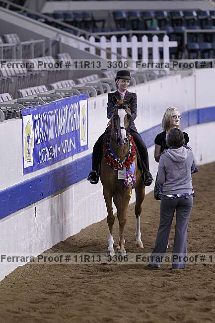 Proof 11r13_3306