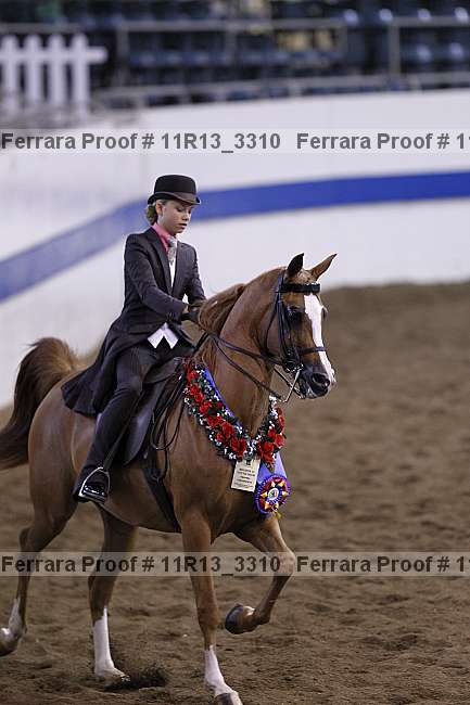 Proof 11r13_3310