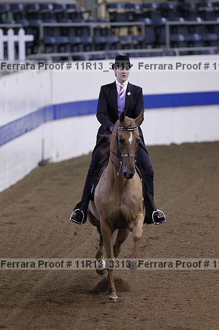 Proof 11r13_3313