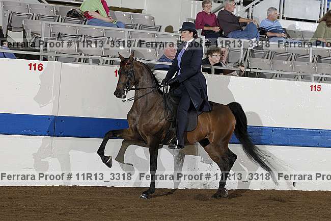 Proof 11r13_3318