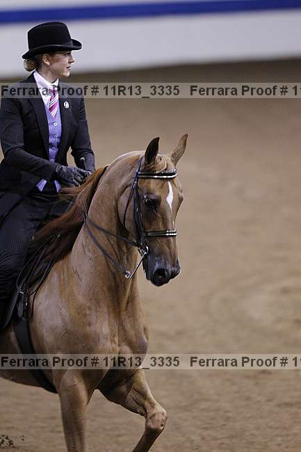 Proof 11r13_3335