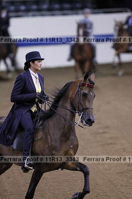 Proof 11r13_3343