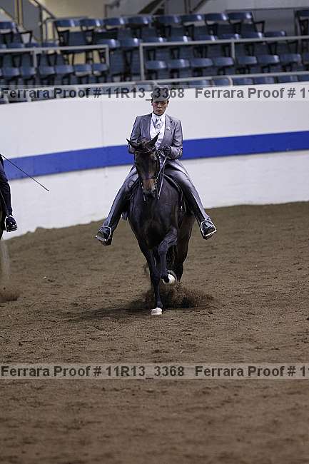 Proof 11r13_3368