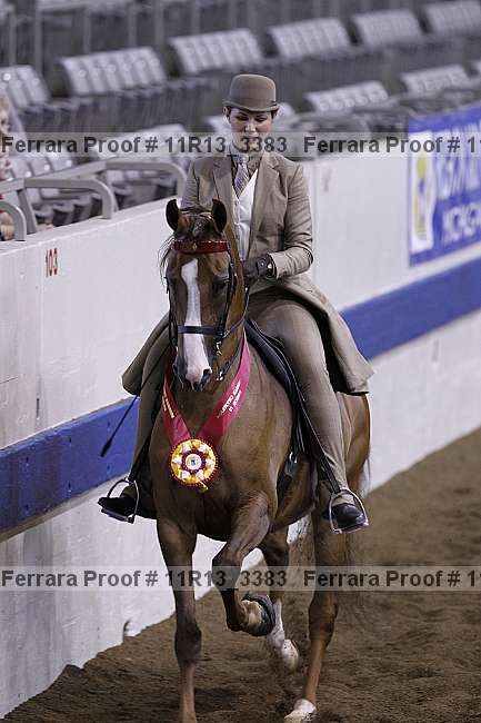 Proof 11r13_3383
