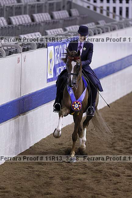 Proof 11r13_3388