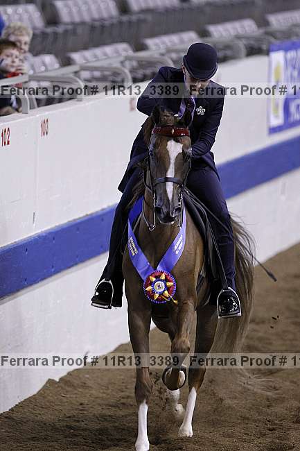 Proof 11r13_3389