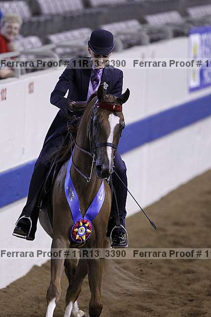Proof 11r13_3390
