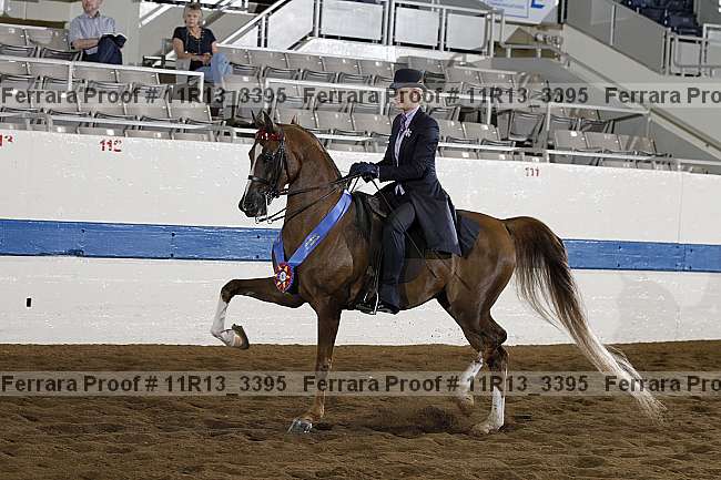 Proof 11r13_3395