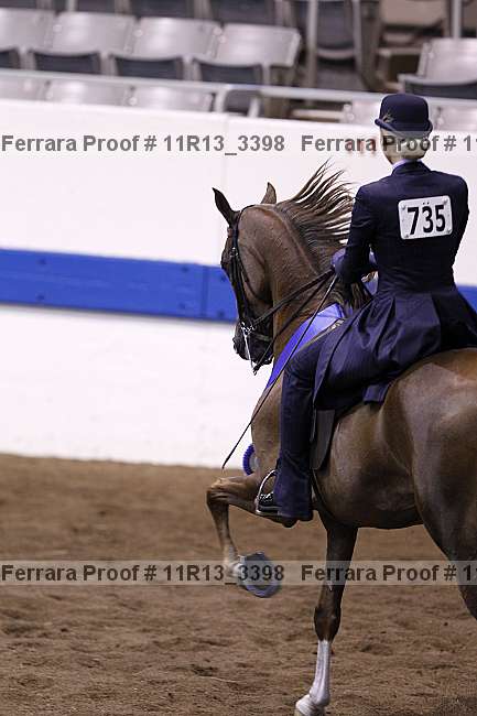 Proof 11r13_3398