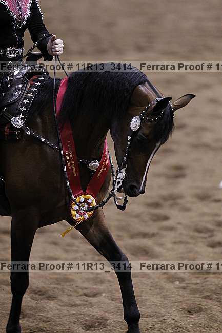 Proof 11r13_3414
